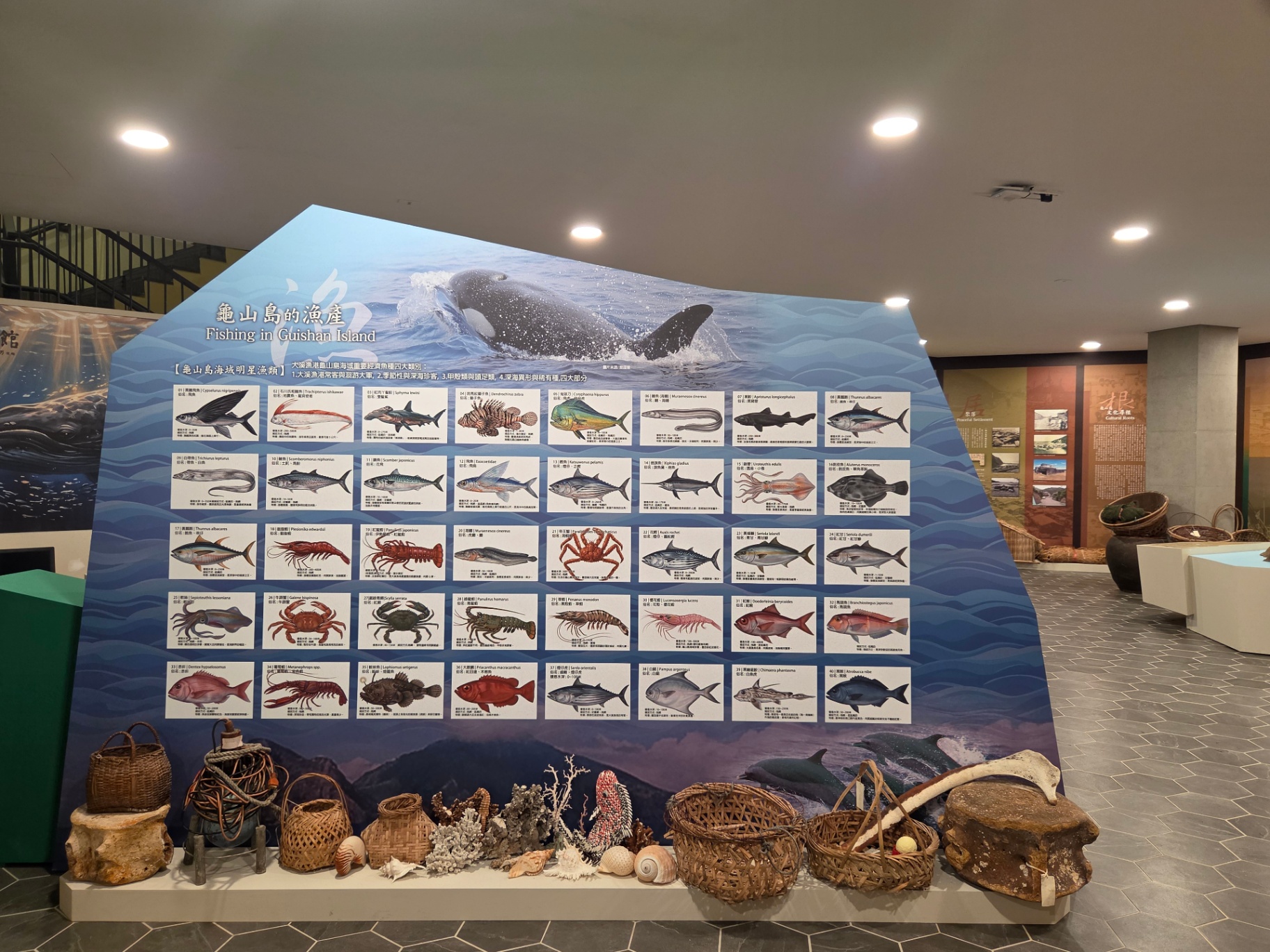 「龜山島海域明星魚類」圖鑑展板，逾四十種魚蝦蟹貝介紹