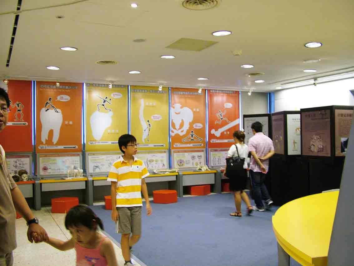 學習體驗室全景——橙黃色主題大圖立面與互動展桌