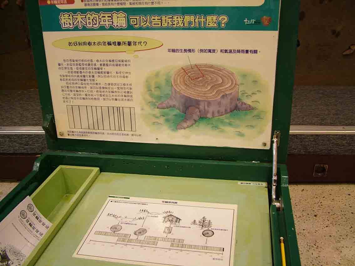 樹木的年輪可以告訴我們什麼？——年代定法教具箱大圖