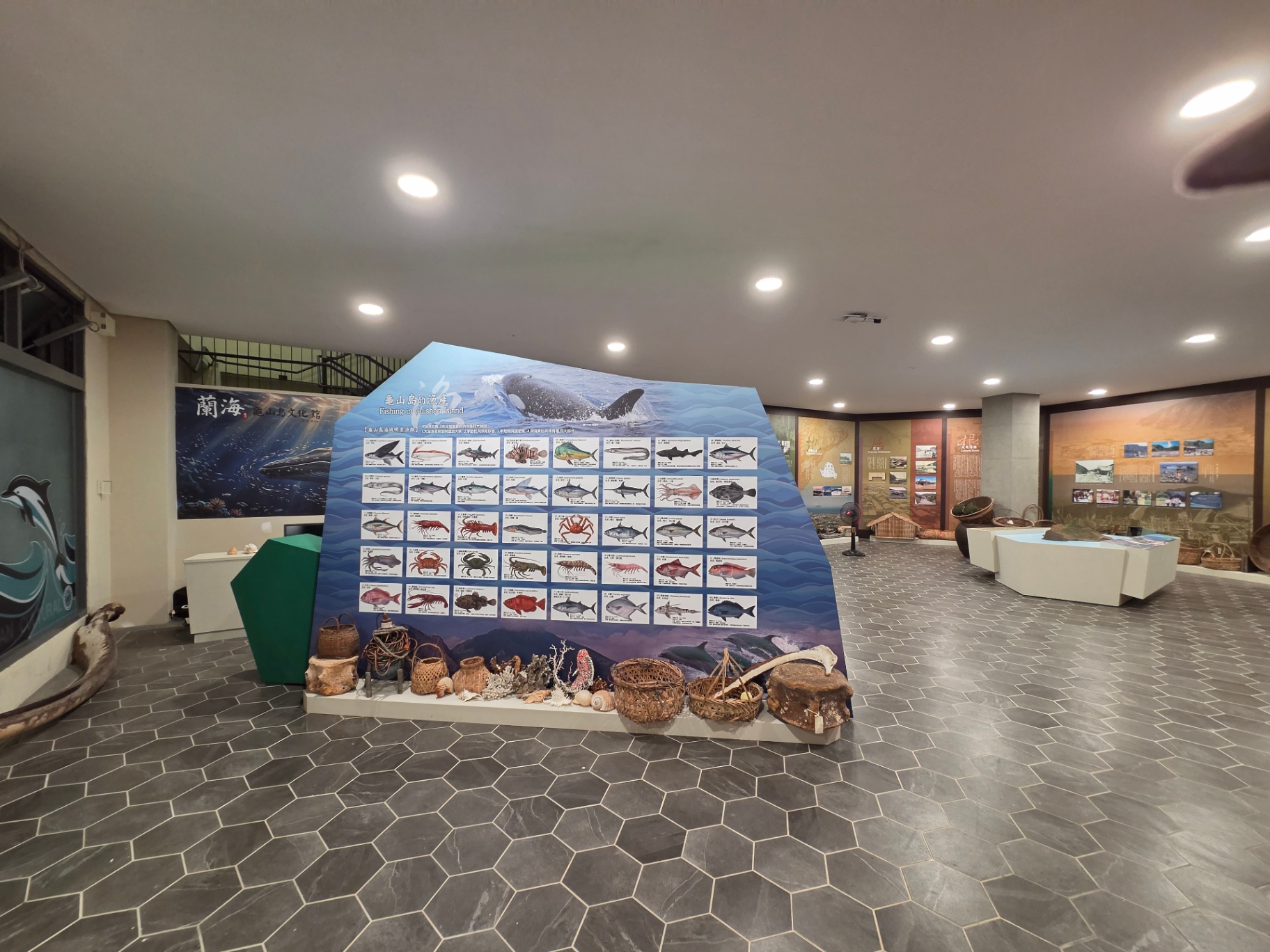 龜山島的漁產 Fishing in Guishan Island 大型造型展板與標本陳列